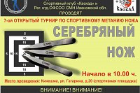 В Кинешме пройдет турнир по спортивному метанию ножа