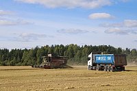 В Кинешемском муниципальном районе приступили к уборке озимых культур