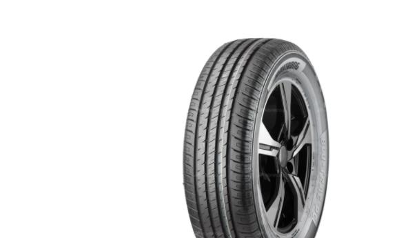 Топ зимних шин Starmaxx