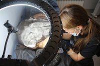 Как стать мастером по наращиванию ресниц: востребованность профессии и возможности заработка