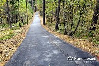 В Кинешемском парке мужчина упал с самоката на лыжероллерной трассе и сломал шейку бедра