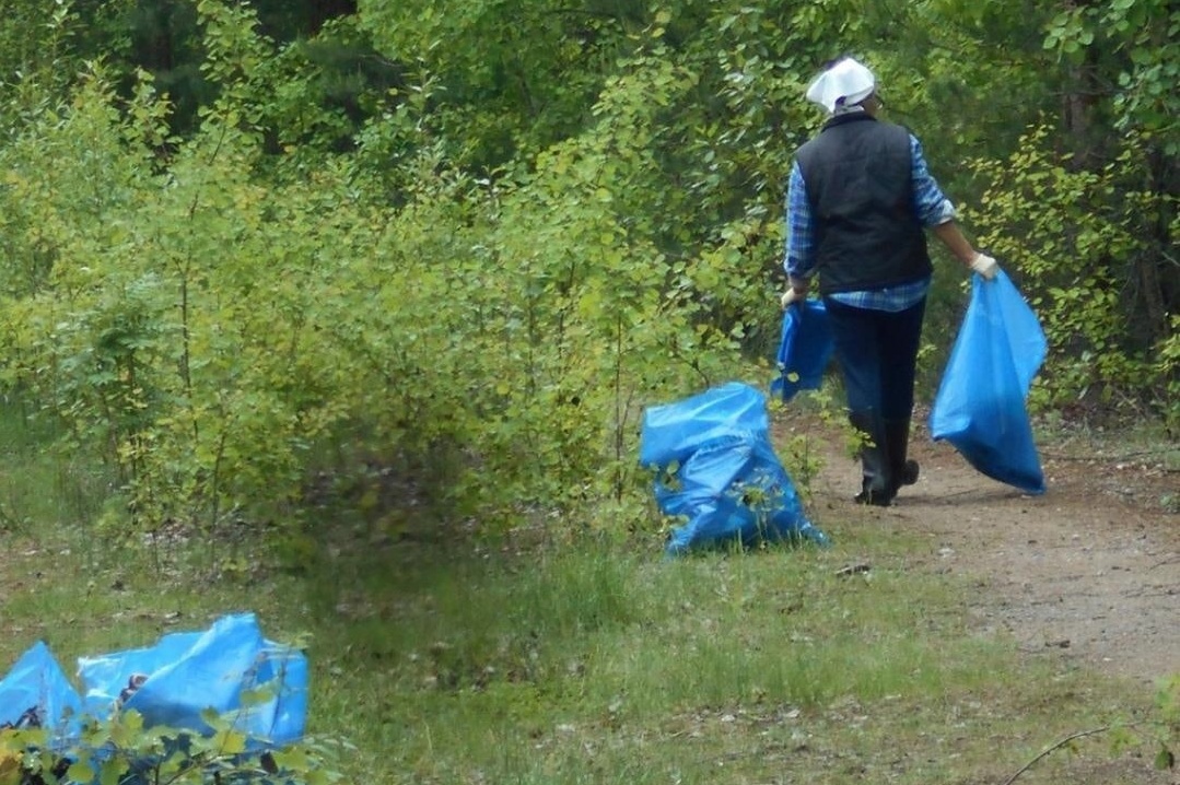 В сосновом бору в «Сокольниках» состоится экологический субботник