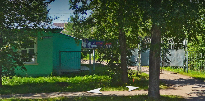 В Кинешме исследуют труп ежа, умершего после укуса собак