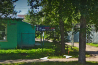 В Кинешме исследуют труп ежа, умершего после укуса собак