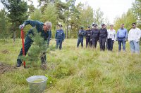 В рамках акции «Сохраним лес» в Ивановской области высадили 5-миллионное дерево