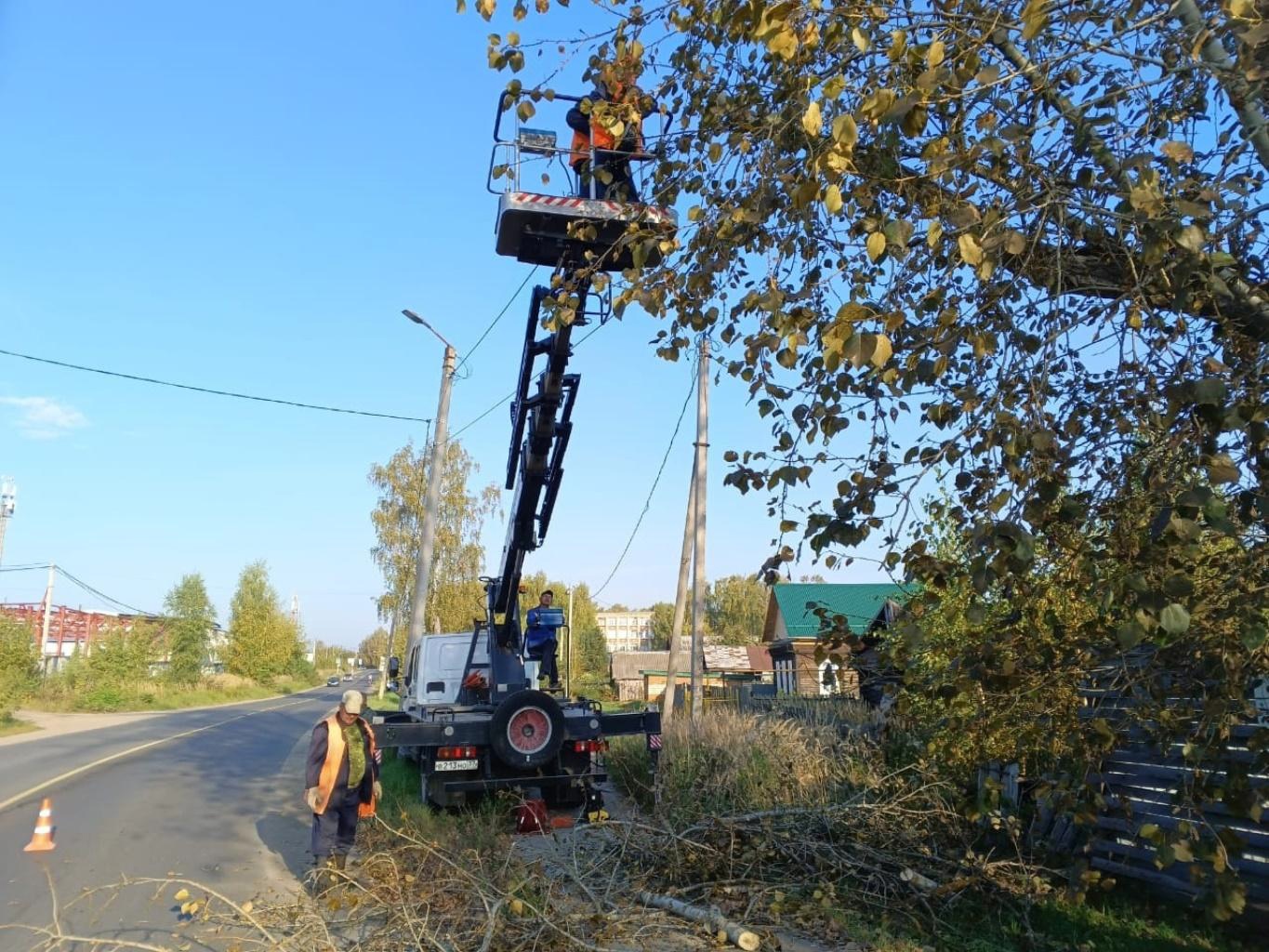 УГХ Кинешмы освобождает город от аварийных деревьев