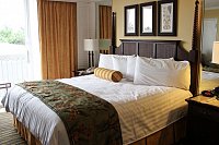 МТС Travel: россияне начали бронирование отдыха на новогодние каникулы