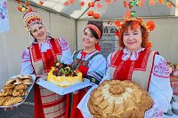 В Кинешме председателям ТОСов предоставили льготы по уплате земельного налога