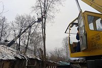 За минувший месяц УГХ выпилены и кронированы десятки аварийных деревьев