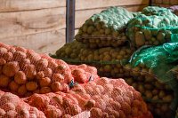 В Ивановской области увеличилось производство овощей