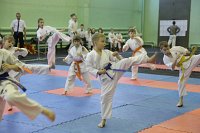 В Кинешме прошло Первенство Ивановской области по каратэ Кенбукай