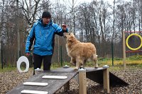 В Кинешме по программе «Местные инициативы» могут обустроить площадку для выгула собак