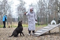 Площадка для выгула собак в Кинешме признана лучшим проектом «Местных инициатив» в регионе