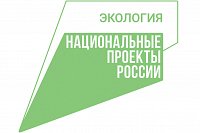 В регионе ликвидировано более 1 млн кубометров отходов на 3 несанкционированных свалках
