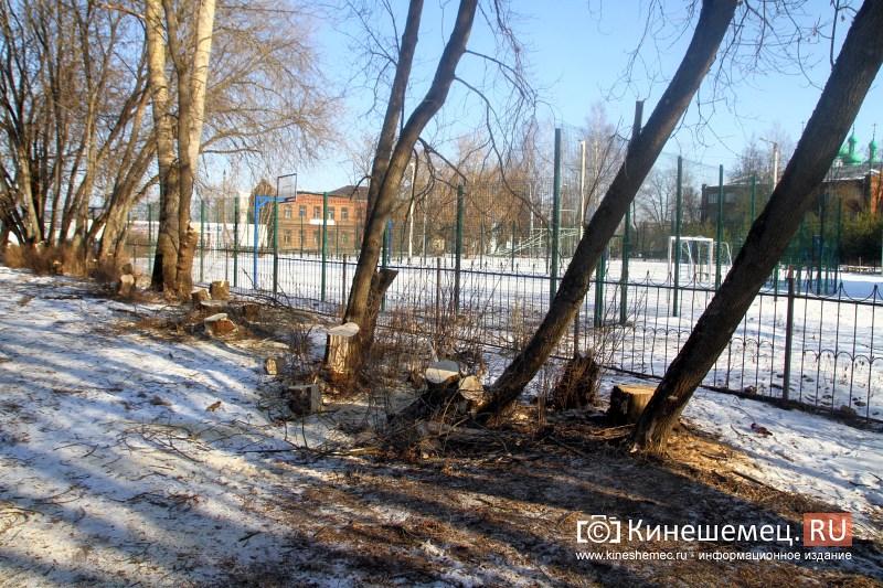 Возле гимназии им.А.Н.Островского частично спилили аварийные деревья