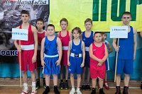 Кинешемцы стали победителями и призерами регионального турнира по боксу