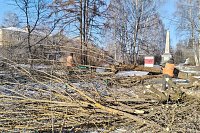 Сквер на «Фабрике №2» очистили от аварийных деревьев