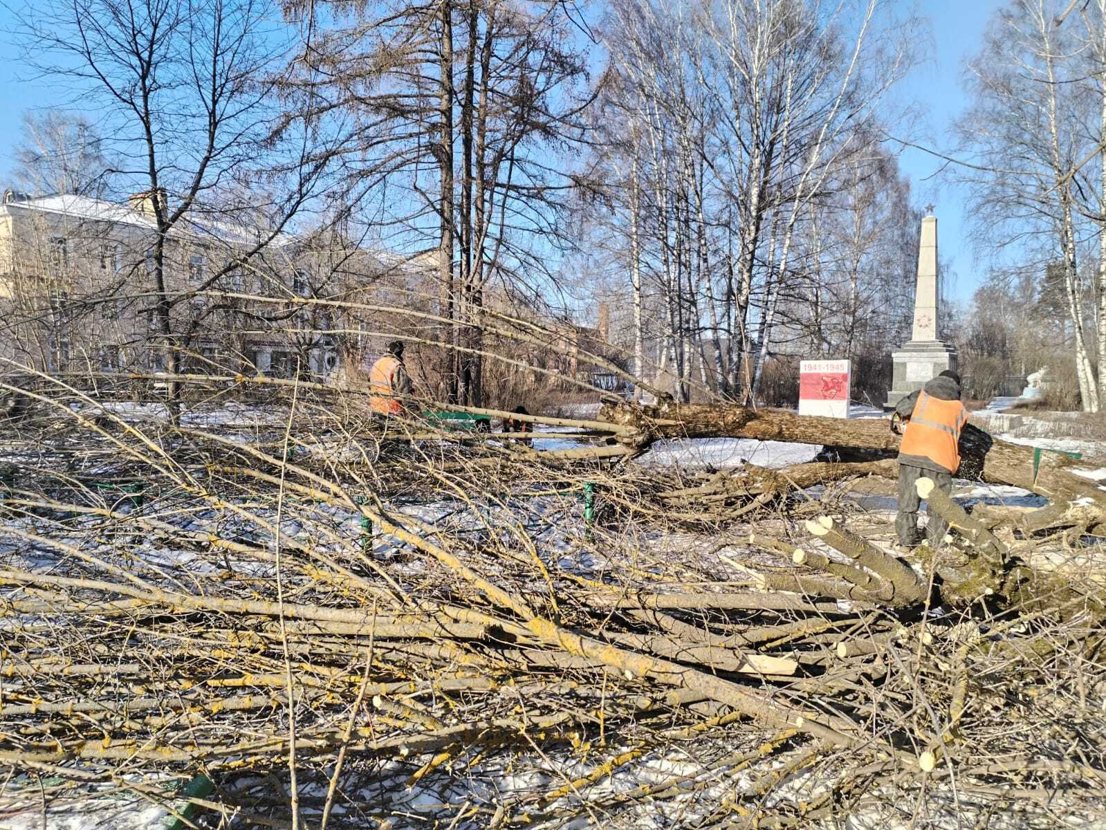 Сквер на «Фабрике №2» очистили от аварийных деревьев