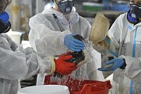 Устранять последствия аварии в Керченском проливе помогают крупнейшие компании страны