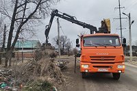 За март - начало апреля с улиц Кинешмы вывезено 1416 кубометров спиленных деревьев и веток