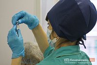 В Кинешму поступила вакцина от клещевого энцефалита