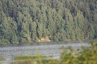 Май на Алтае: встреча с дикой природой