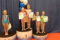 Кинешемские гимнастки завоевали награды на межрегиональном турнире