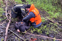 1 Мая в Кинешме спасли мальчика, которого затянуло в трясину на р.Кинешемке