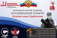 В Кинешемском районе пройдет турнир по каратэ памяти Владислава Горбачева