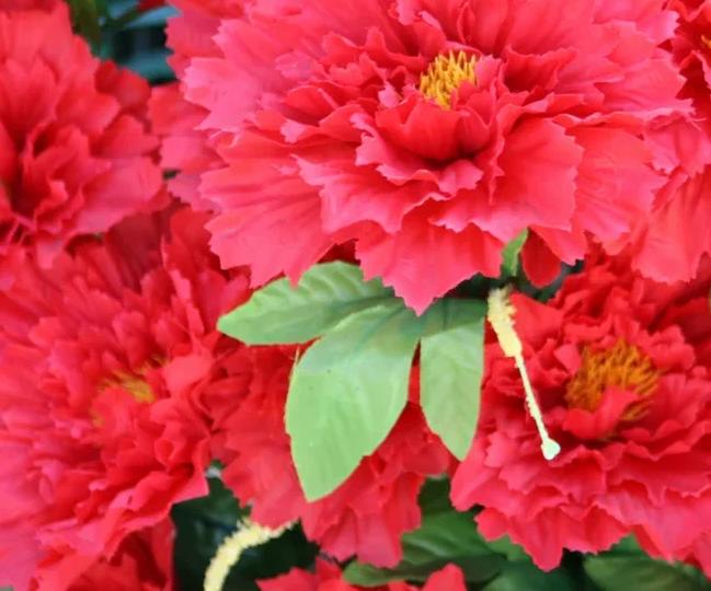 От чего зависит цена на пионы: скрытые факторы и советы покупателю