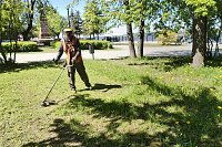 В Кинешме приступили к покосу травы