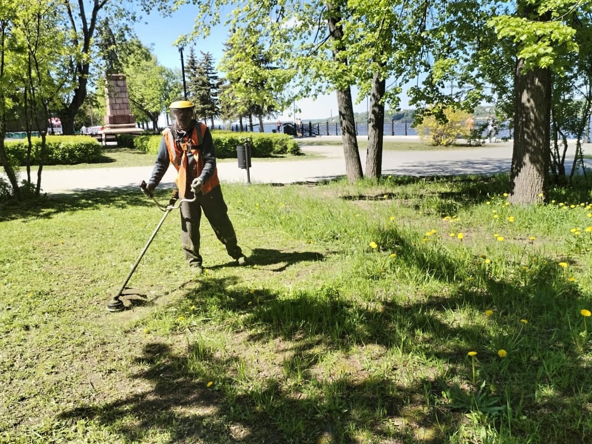 В Кинешме приступили к покосу травы