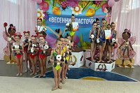 Гимнастки Кинешмы завоевали награды на домашнем турнире