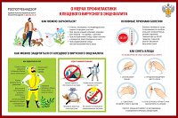 В Ивановской области клещевого энцефалита не выявлено