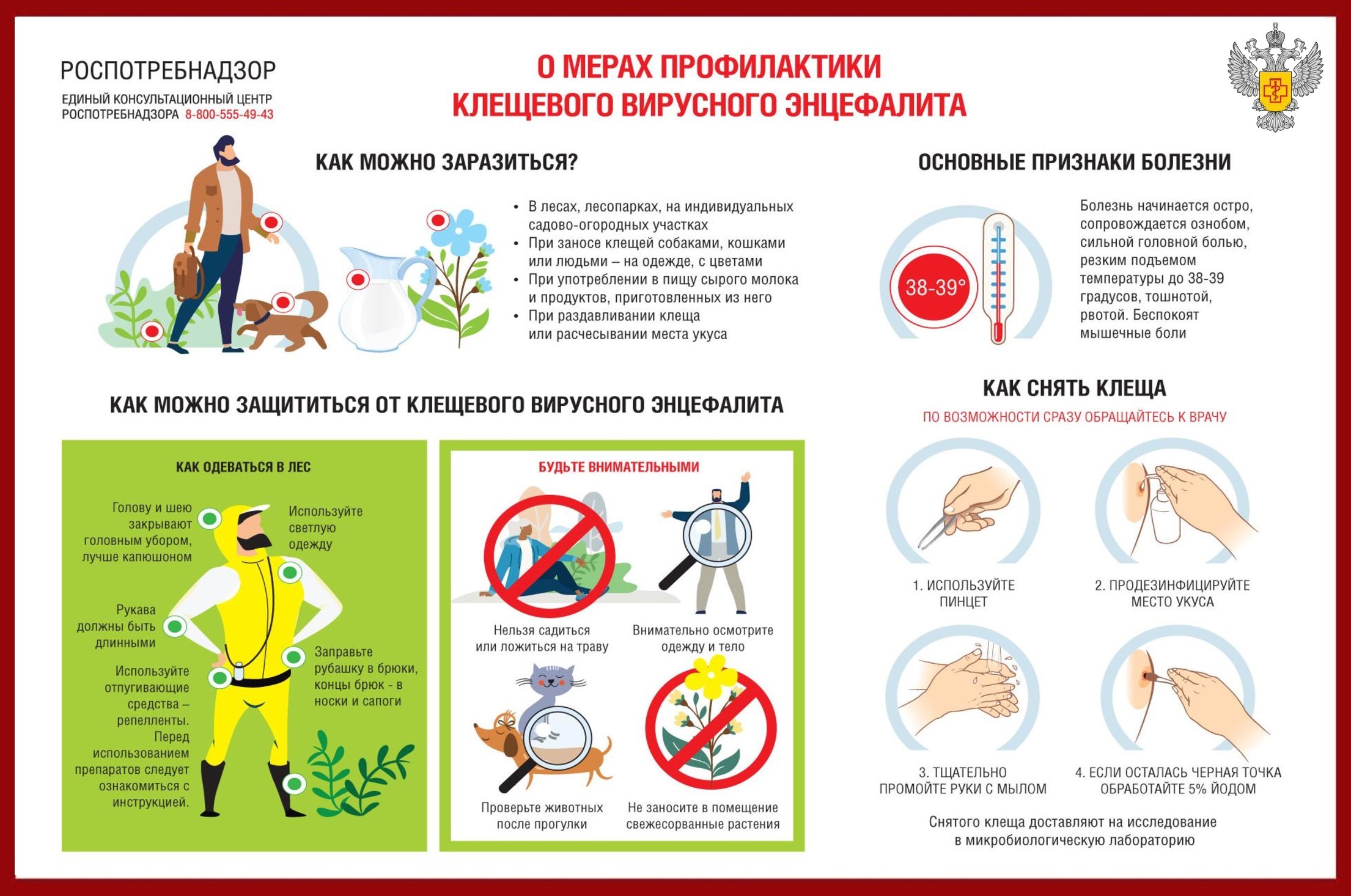 В Ивановской области клещевого энцефалита не выявлено