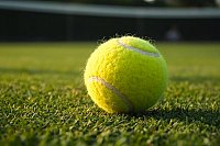 Способна ли погода сильно повлиять на ставки на теннис в БК Пин Ап?