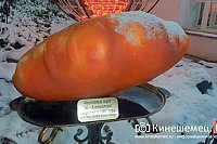 Ивановская область вошла в число 11 пилотных регионов программы «ПроЕДУ по России!»