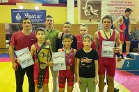 Кинешемские борцы-вольники завоевали награды межрегионального турнира в Костроме