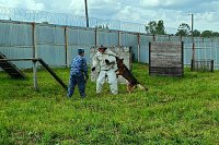 В кинешемской колонии №3 состоялись показательные выступления кинологов