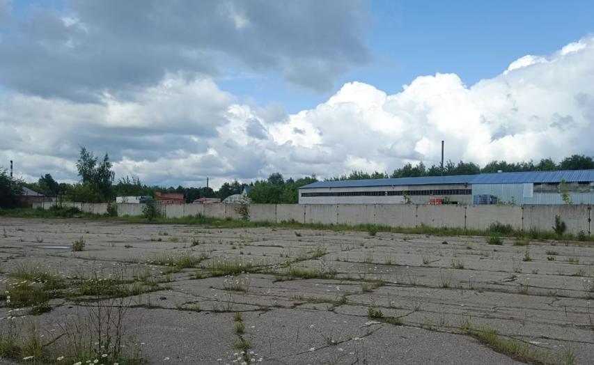 В Кинешме пройдет конкурс уличного искусства