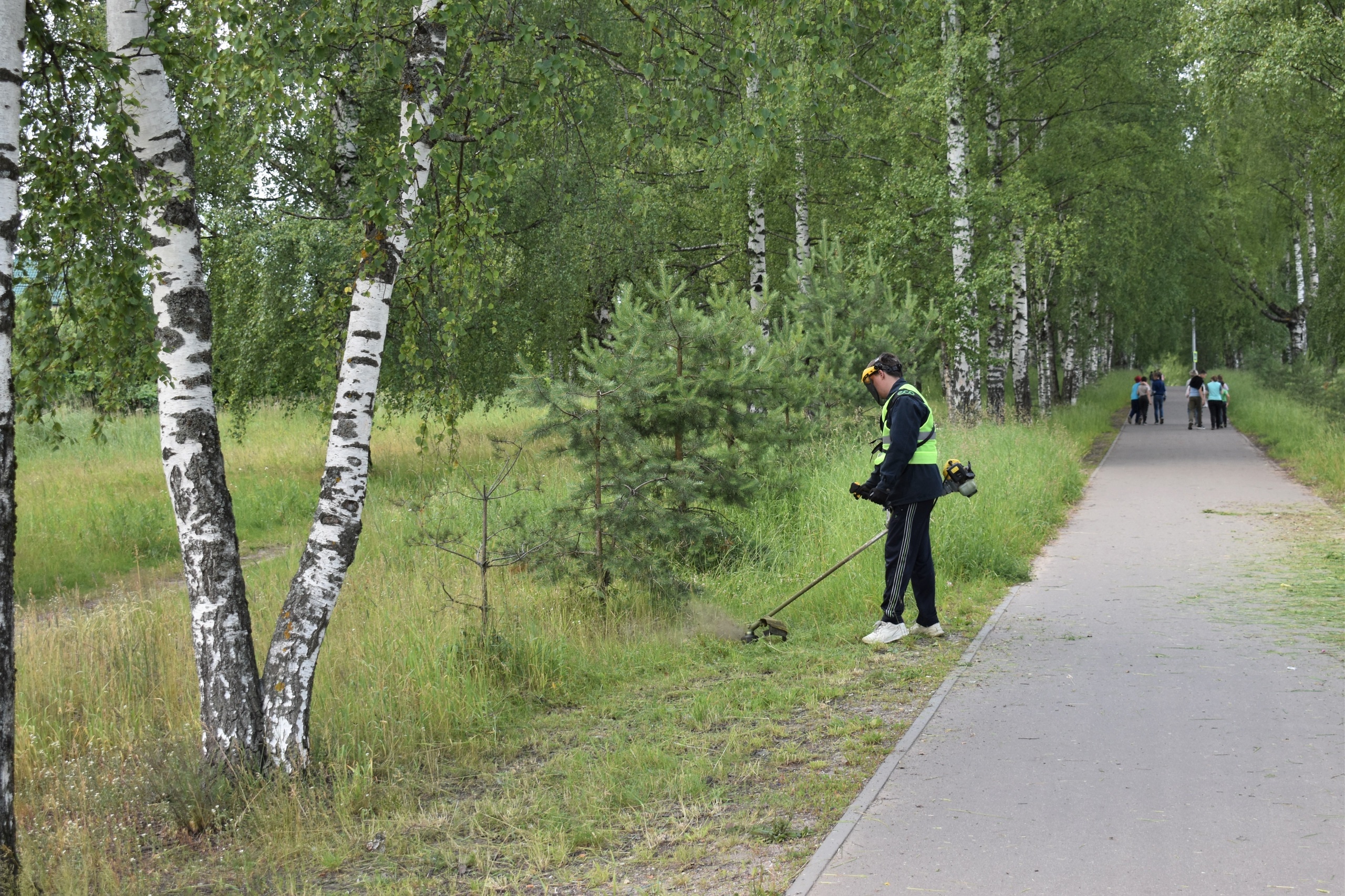 В Кинешме к покосу травы привлекли подрядную организацию