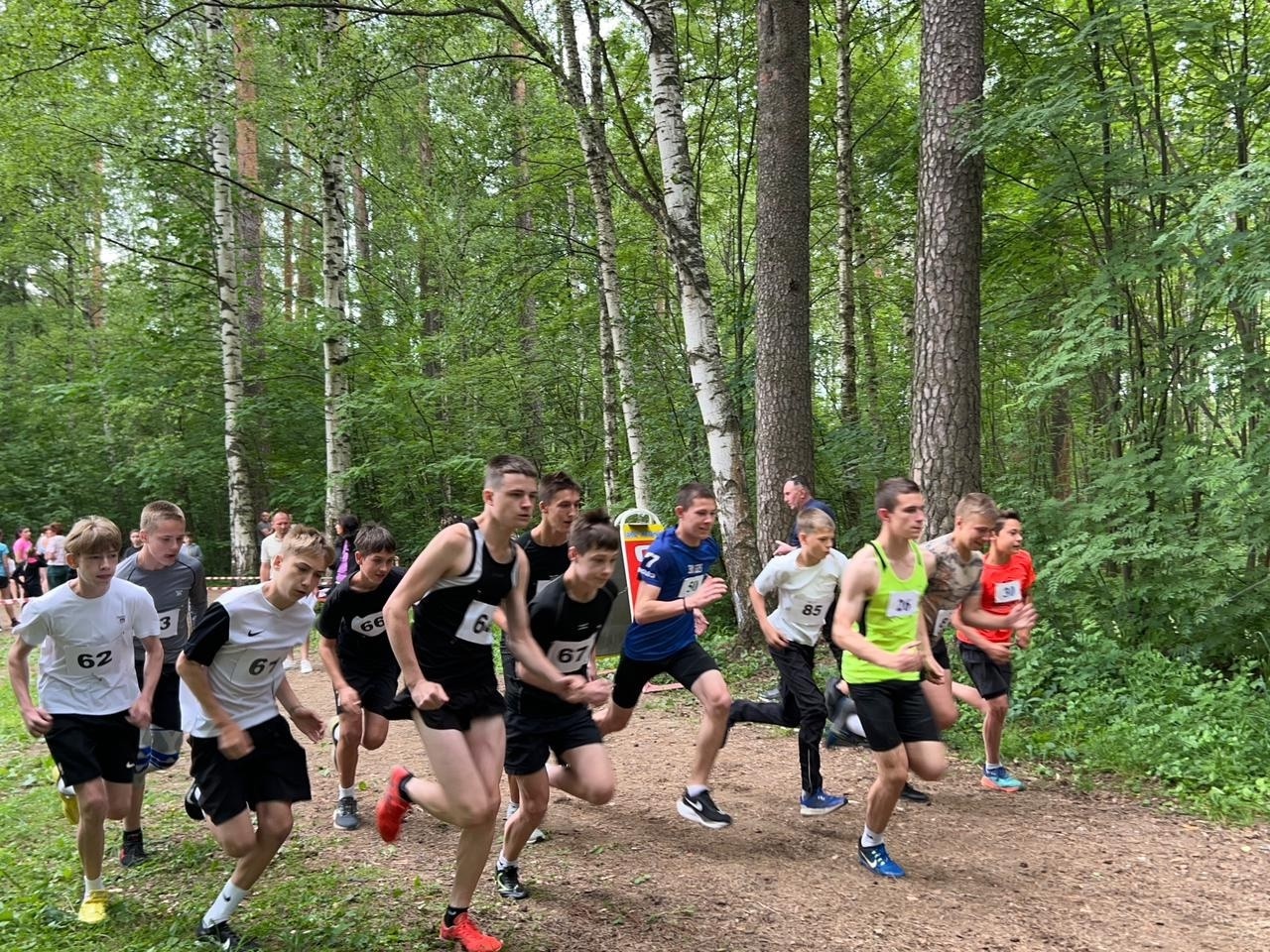 В Кинешме прошло первенство города по легкоатлетическому кроссу
