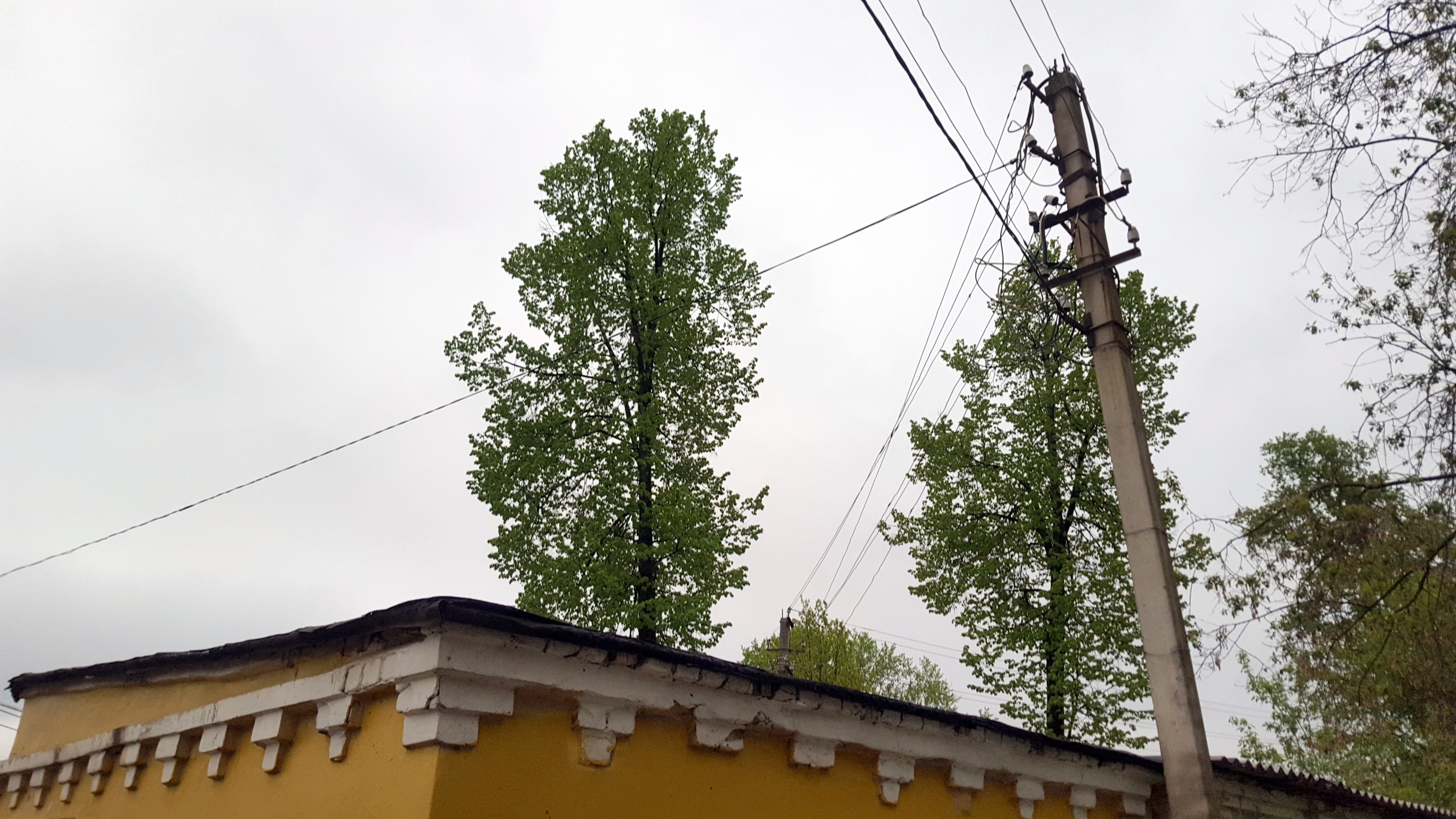 4 июля часть «Сокольников» останется без света