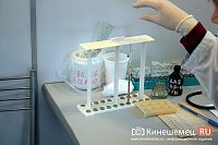 В частном хозяйстве в Кинешемском районе обнаружен лептоспироз