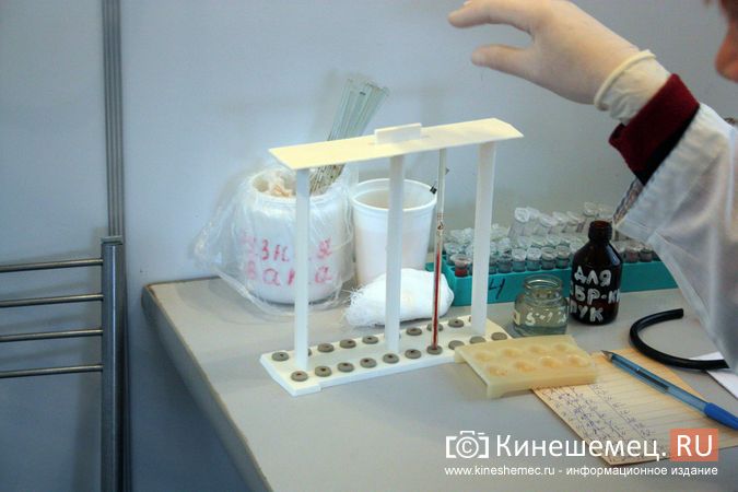 В частном хозяйстве в Кинешемском районе обнаружен лептоспироз