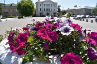 На кинешемских клумбах распустились более 13 тысяч цветов