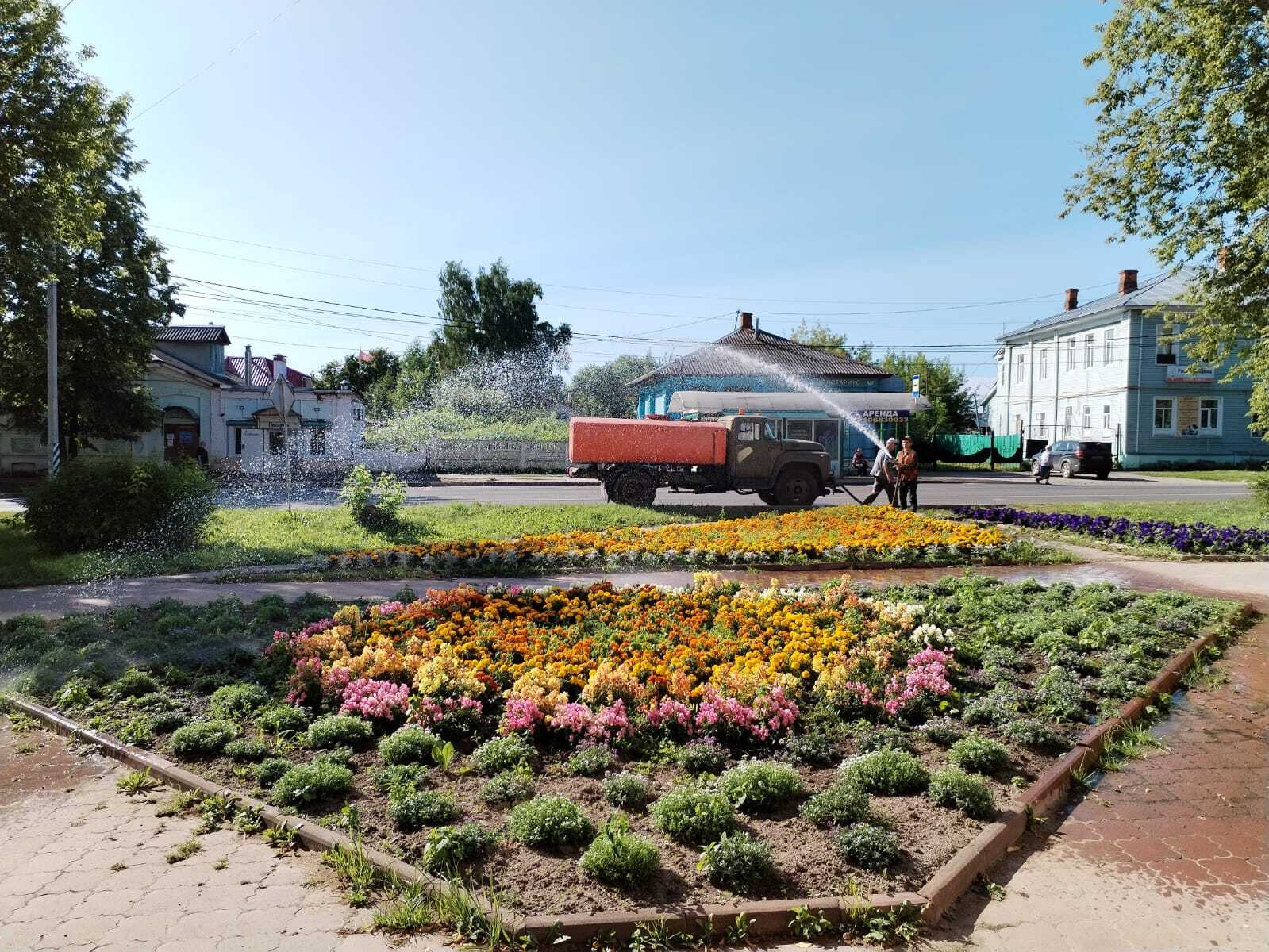 В Кинешме в жару спасают цветы в городских клумбах