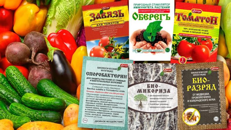 Рейтинг органических удобрений для томатов в период цветения и завязи: как увеличить урожайность