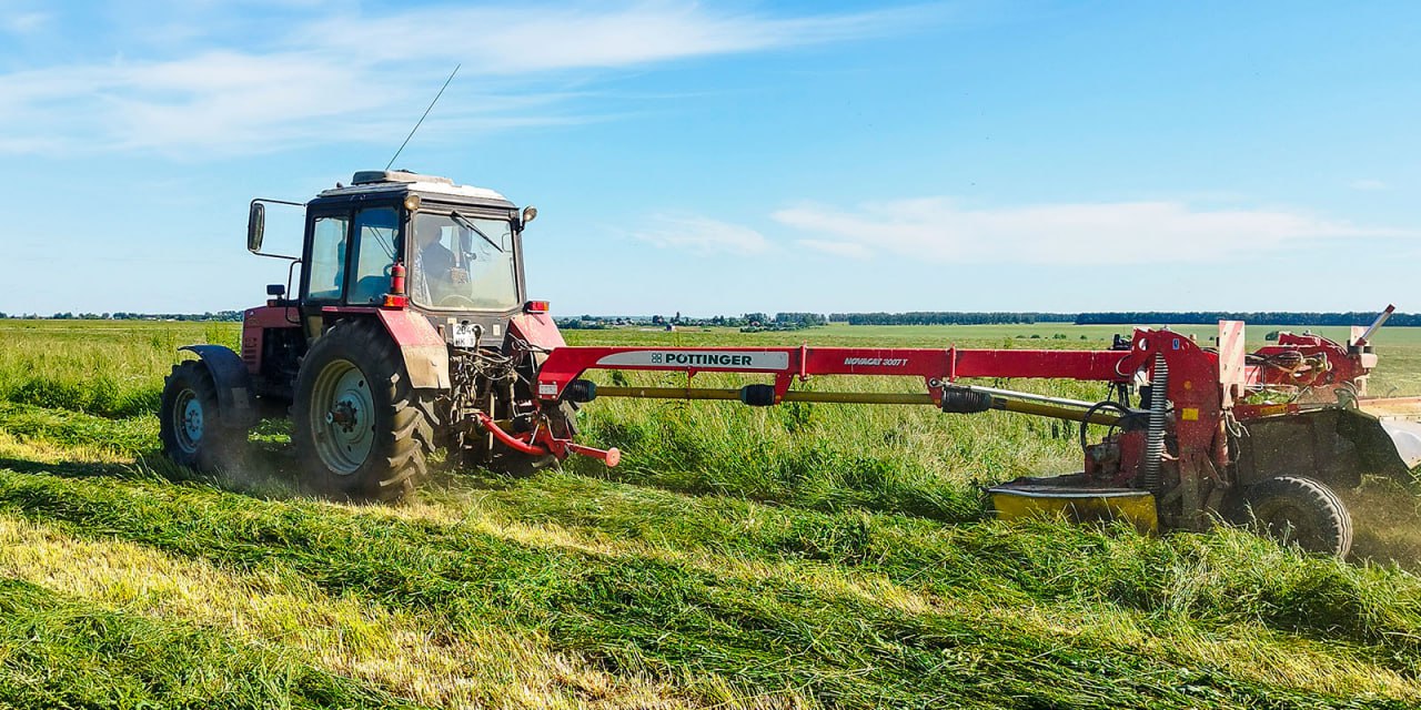 В Ивановской области кормовые культуры скошены на 40% запланированных площадей