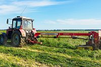 В Ивановской области кормовые культуры скошены на 40% запланированных площадей